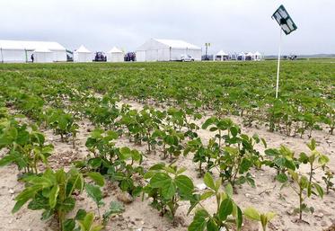 Les journées Eléments-terre étaient l’occasion de présenter les innovations qui germent à la station expérimentale, dont la culture de soja.