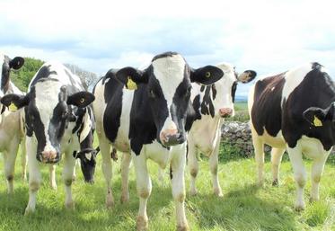 La filière espère regagner la confiance de 51 % des consommateurs d’ici 2025.