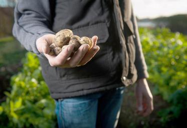 Arracher, mettre en tas et stocker en recherchant qualité et sécurité.