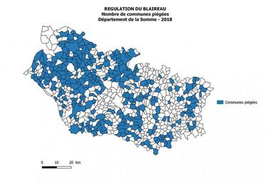 En 2018, les blaireaux ont été colletés dans 296 communes, soit 38 % des communes de la Somme.
