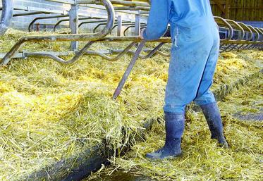 En améliorant le raclage paillage, un éleveur peut gagner 15 minutes par jour, soit près de 4 jours par an.