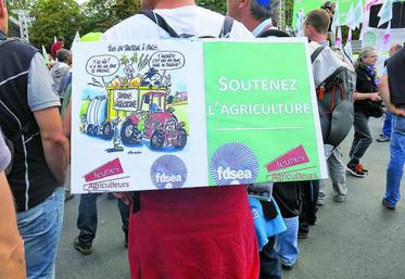 L'essentiel de la difficulté de la filière bovins viande s'inscrit dans un contexte structurel, selon l’Apca.