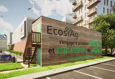 Les fermes containers Écosiag sont composées de deux containers empilés : une ferme de 30 m2 au sol équivaut à 150 m2 en culture traditionnelle, en termes de production.
