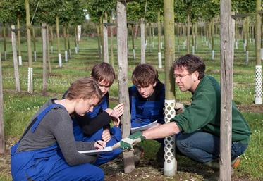 Le ministère de l’Agriculture et de l’Alimentation emploie plus de 18 800 agents dans le secteur de l’enseignement  agricole. 