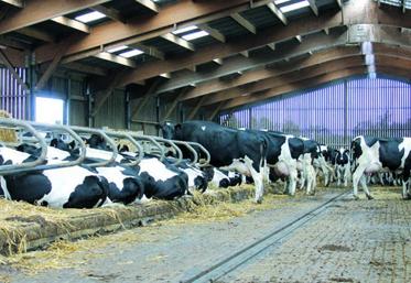 Entre industrialisation et contraintes environnementales, proximité et mondialisation.