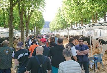 L’annulation de la foire de Montdidier marque une interruption dans l’organisation du concours départemental 
de la race Prim’Holstein qui aurait du fêter sa 7e édition.