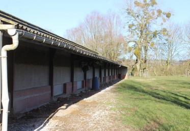 La création d’un atelier de volailles de chair bio trouve aussi bien sa place dans des bâtiments neufs que dans des espaces en reconversion.