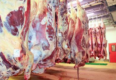L’accord prévoit un contingent à taxe nulle de 70 000 tonnes de viande bovine venant des pays du Mercosur, une offre officielle déjà importante.