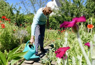Le potager traditionnel picard de Patricia Auvray est avant tout «un réservoir de biodiversité». Les fleurs se mêlent subtilement aux légumes