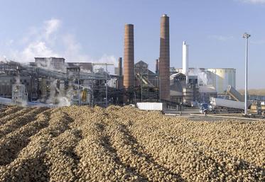 Les dernières betteraves ont été transformées à Eppeville, le 11 janvier.