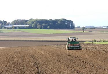 Quatre marchés existent aujourd’hui sur le foncier, rappelle la FNSafer : le marché immobilier, le marché de la transaction de parts sociales, encore balbutiant il y a dix ans, le marché des locations, et le marché du travail à façon.