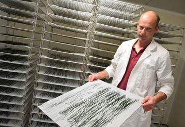 La spiruline est une production qui exige beaucoup de technicité.