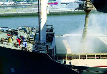 Entre les prévisions de récolte revues à la hausse et l’arrivée surprenante de l’Inde sur les échanges, le marché des céréales semble incertain sur les prochaines semaines.