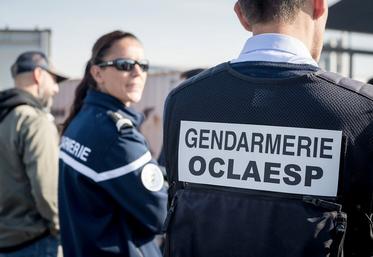 police de l'environnement