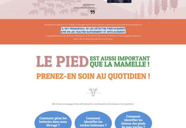 Le pied est aussi important que la mamelle. Pour aider les éleveurs à en prendre soin, un site de références sur le sujet a été développé.
