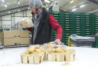 Toutes les Pompadours Label Rouge sont conditionnées à Essertaux.