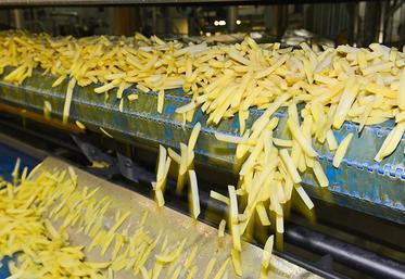 Le GIPT craint qu’Egalim 2 «amplifie la délocalisation des usines de pommes de terre».