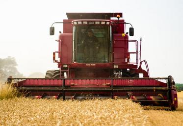 Certains travaux des champs justifient un dépassement du nombre légal d'heures de travail : lequel s'obtient par une dérogation auprès de la Direccte.