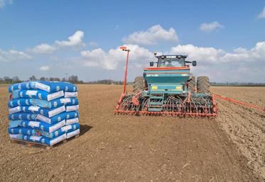 Soigner le semis pour une bonne récolte de lin.