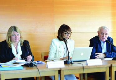 Présentation de l'avis du Cese sur la justice climatique. De gauche à droite : Agnès Michelot, Anne-Marie Ducroux (présidente de la section Environnement du Cese) et Jean Jouzel.