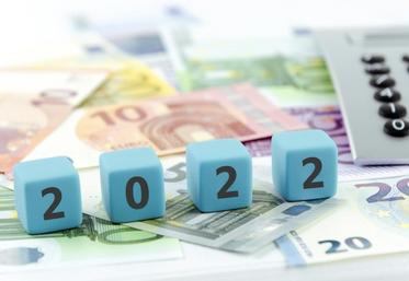 Certaines mesures fiscales, notamment pour les entreprises agricoles ne relèvent que d’aménagements à l’exception  de l’amortissement du fonds agricole.