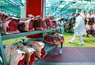 La demande en viande bovine s’inscrit désormais dans une tendance à la baisse en Europe occidentale.