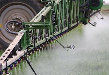 Les alternatives à l’usage de la première molécule utilisée en France, le glyphosate, sont aujourd’hui très limitées.