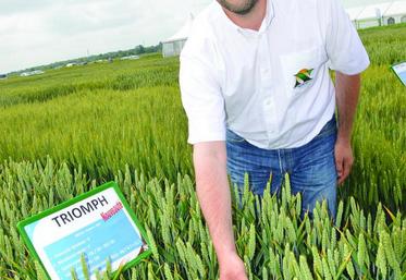 Philippe Pluquet : «je dirais qu’il ne faut pas penser qu’au rendement. 
Les protéines sont tout aussi importantes.»