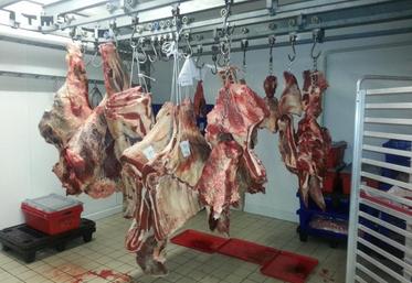 Le magasin de Leclerc à Montdidier possède une chambre froide pour faire maturer la viande et est également équipé d’un atelier de découpe.