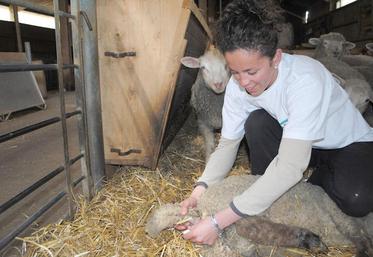 Au-délà de 40°C, l’animal est en hyperthermie.