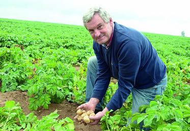 Jean Ebersbach : «On produit nos souches nous-mêmes.»