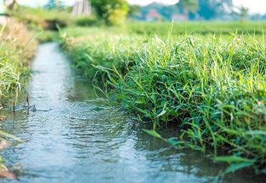 Dans la Somme, l’eau n’est pas une ressource rare, mais il faut la préserver.