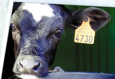 Le renouvellement représente un coût important, mais il faut le considérer comme un investissement.