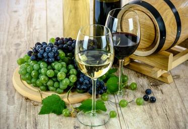 Les sénateurs ont notamment adopté un amendement visant à exclure du champ de la réforme de la contractualisation le secteur des vins et eaux-de-vie.