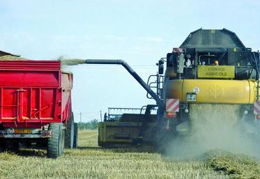 Récupération des menues pailles.