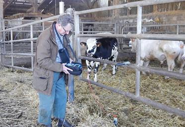 Le diagnostic comprend une vérification de la conformité électrique  du bâtiment, un bilan sanitaire complet et une expertise zootechnique. 
