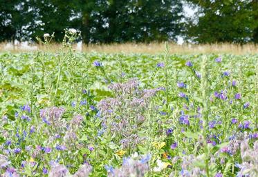 L’agriculture, si elle fait partie du problème, est aussi une formidable source de solutions. Sa transition vers l’agroécologie en est un exemple.