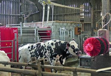 L’installation d’un robot d’occasion dans un bâtiment existant s’organise de la même façon qu’un modèle neuf.