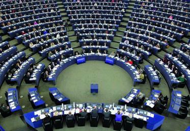 Le Parlement européen a voté son projet de réforme de la Pac. Reste à présent à engager les discussions avec le Conseil des ministres : pour être adopté, le texte devra être commun aux deux institutions.
