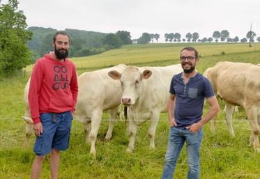 Parmi les techniques développées, les vaches de Simon Lenoir (à gauche) et Mathieu Devienne (à droite) sont menées en pâturage tournant dynamique, pour optimiser l’herbe.