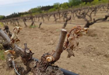 FNSEA et JA saluent les propositions du rapport Descrozaille et soulignent que les agriculteurs ne pourront pas faire face seuls.