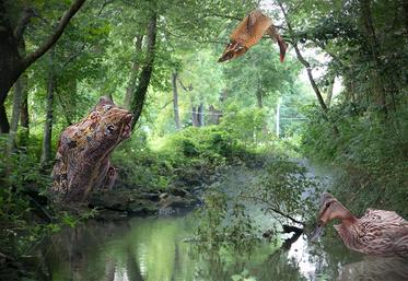 Le collectif H3O s’est intéressé au monde sous-marin, avec des reproductions géantes de prises des pêcheurs locaux. 