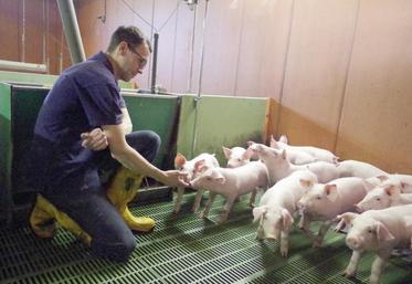 En six mois, Fabien Leroux a commercialisé un tiers de sa production via Les Salaison du terroir, dans les GMS du secteur. Son jambon est valorisé en tant que production locale et entant dans une démarche de progrès.