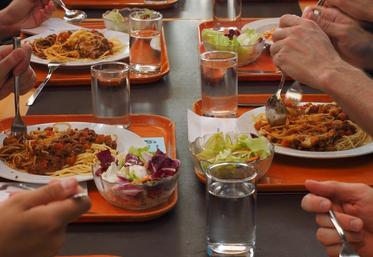Des produits biologiques labellisés, ou à haute valeur environnementale, devraient faire leur apparition dans les menus des restaurants collectifs au plus tard au 1er janvier 2022.