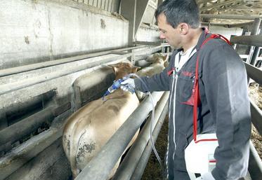 Limiter les frais vétérinaires est la principale motivation des éleveurs enquêtés à améliorer leur biosécurité.