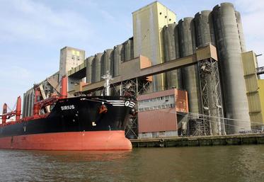 la France pourrait exporter en un an vers les pays tiers 10,2 Mt de blé tendre contre 4,97 Mt en 2016-2017.