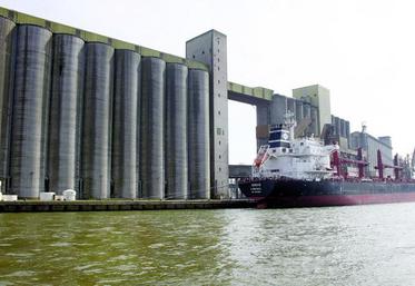Que ce soit par route, par rail ou par voie navigable ou dans les ports, traiter une offre massive de grains est un facteur 
de compétitivité déterminant.