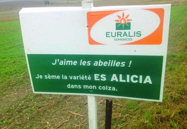 Conjuguer agronomie, économie et environnement ; la technique mérite une communication positive.