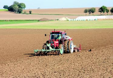 En 2014, le revenu des producteurs de grandes cultures n’a atteint en moyenne que 16 400 euros, en baisse de 11,9 %.