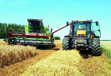 95 % des orges d’hiver sont moissonnés.